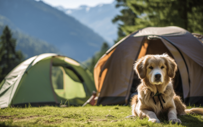Camping im Auto - Ratgeber, Tipps und Ausrüstung für dein